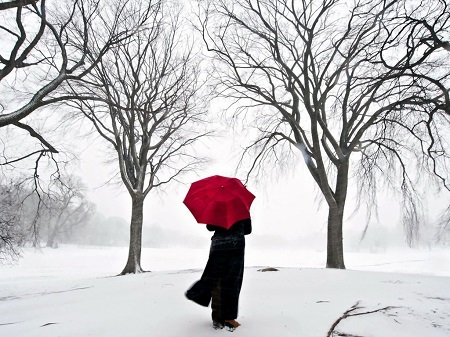 Хакасия за неделю: символ «красного» зимнего одиночества