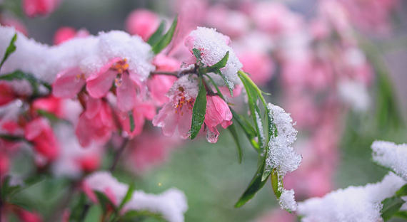 Погода в Хакасии 16 мая: Воспоминания о зиме