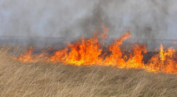 За выходные в Хакасии произошли 25 пожаров