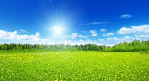 Погода в Хакасии 11 июня: Солнце возвращается