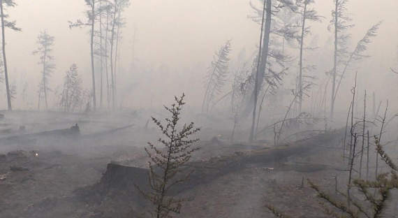 К тушению лесных пожаров в Якутии привлекли военную авиацию