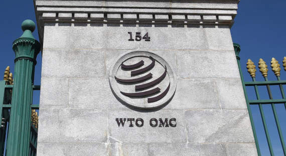 Еврокомиссия пожаловалась в ВТО на российское импортозамещение