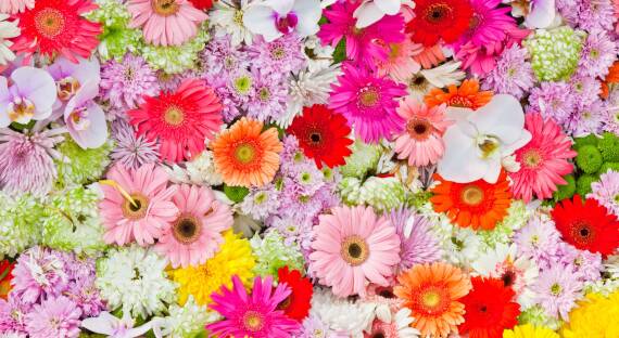 В Абакане выделят дополнительные места для торговли цветами
