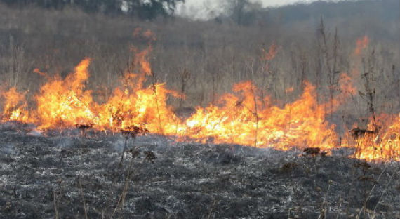 В Забайкалье будут судить мужчину, по вине которого случился лесной пожар
