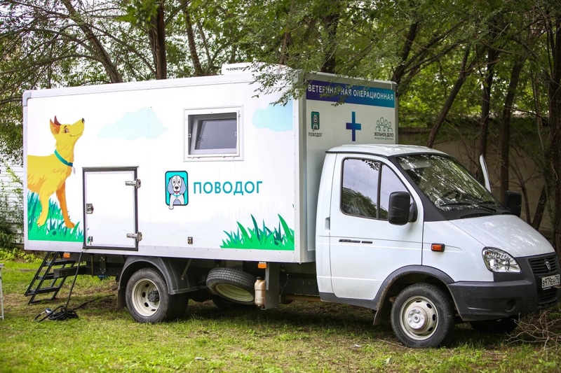 Ветмобиль «Поводог» для стерилизации собак и кошек приехал в Саяногорск