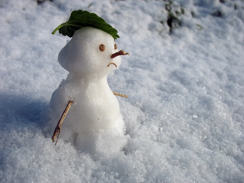 Погода в Хакасии 15 декабря: весна в декабре