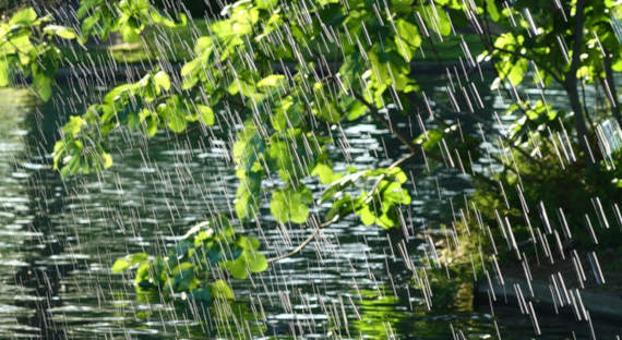 Погода в Хакасии 9 июня: Облачность и дожди