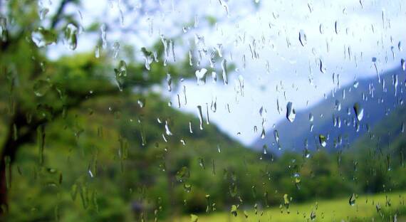 Погода в Хакасии 18 июня: Дождливый день
