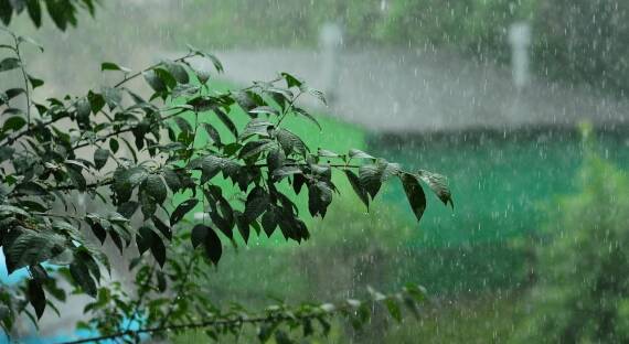 Погода в Хакасии 7 августа: Прохладно и дождливо