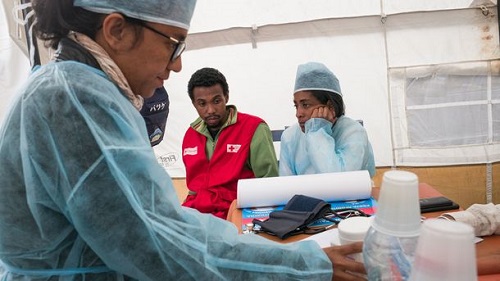 Внимание туристам: эпидемия чумы разразилась на Мадагаскаре