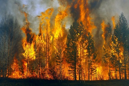 В Хакасии резко осложнилась лесопожарная ситуация