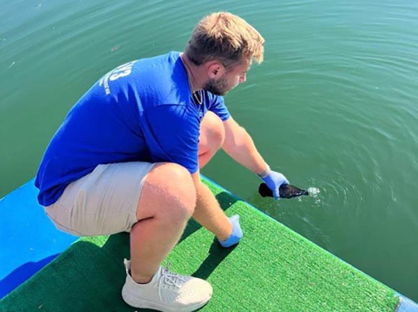 В Хакасии десять пляжей соответствуют санитарным нормам