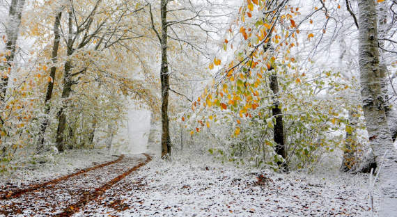 Погода в Хакасии 3 декабря: Тишь да прохлада