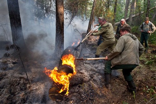 Власти Хакасии активно готовятся в возможным лесным пожарам