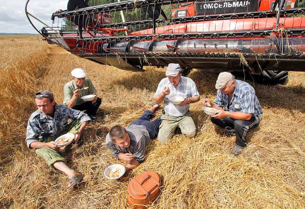 Не нефтью единой: Россия наращивает экспорт пшеницы