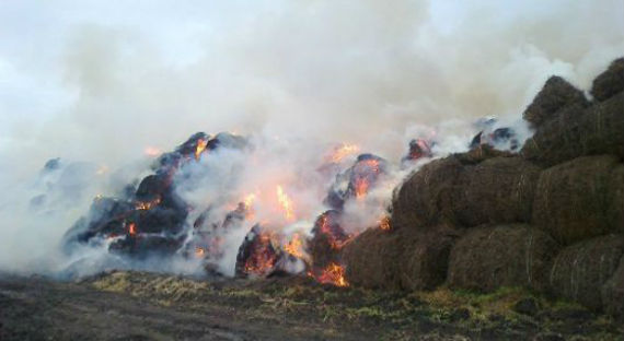 В Хакасии из-за детской шалости сгорело сено