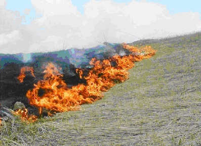 В Хакасии увеличилось количество степных пожаров