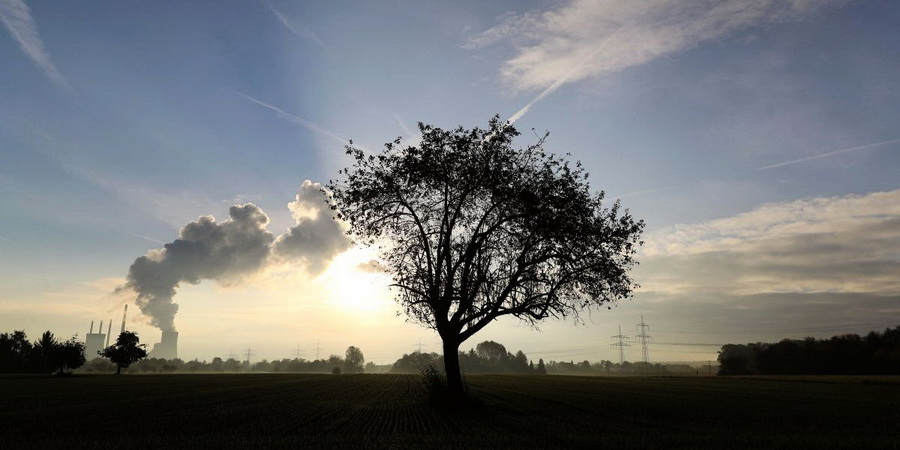 «Механические деревья» в США будут чистить воздух от СО2