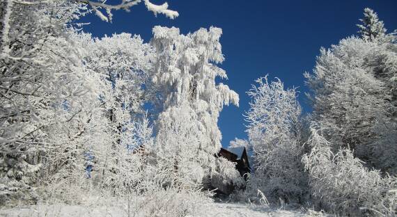 Погода в Хакасии 11 января: Ветер и холод