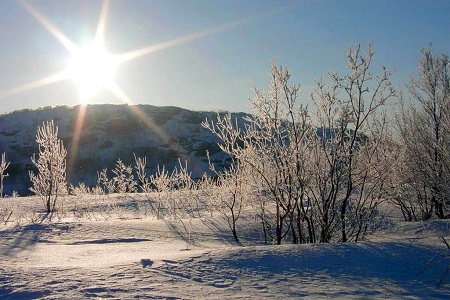 Погода в Хакасии 28 декабря: до Нового года осталось сплошное тепло
