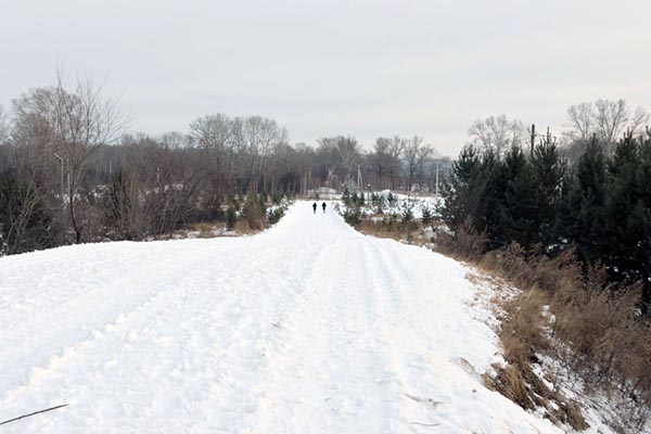 Лыжная трасса в Абаканской Зоне отдыха готова к соревнованиям