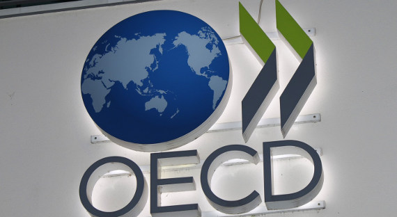 СМИ: Мишустин намерен восстановить связи с ОЭСР