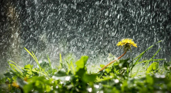 Погода в Хакасии 1 июня: Лето приходит с дождем