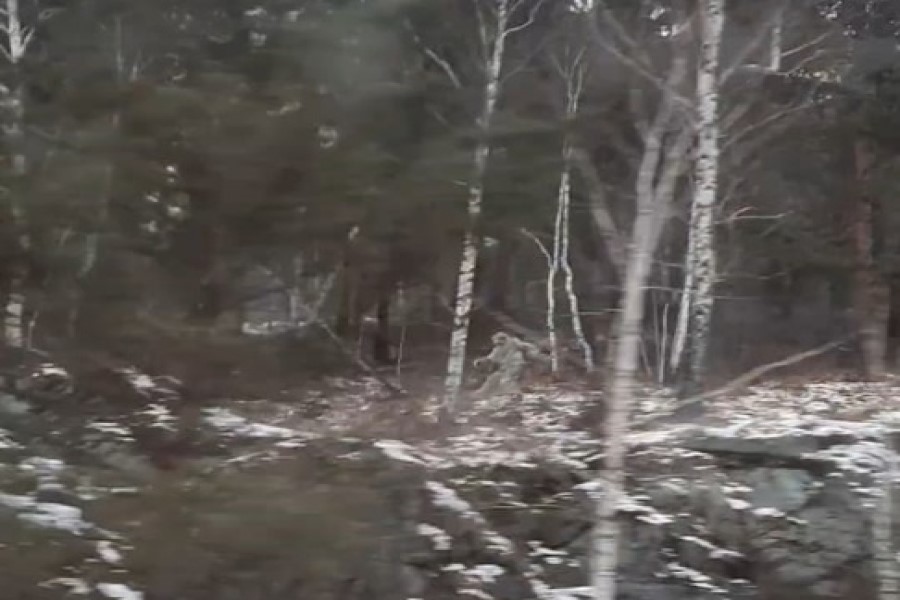 Житель Хакасии увидел Йети, бегущего в деревьях вдоль трассы