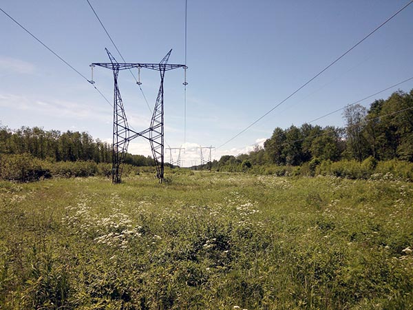 «Россети Сибирь» завершили первый этап расчистки просек высоковольтных линий в Хакасии