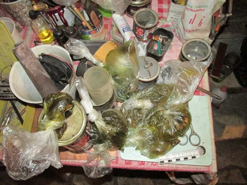 Житель Хакасии заперся в гараже, чтобы сделать из марихуаны краску для картин