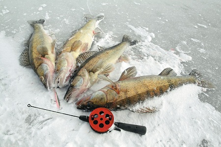 Спасатели Хакасии оповестили рыбаков республики о толщине льда на водоемах региона