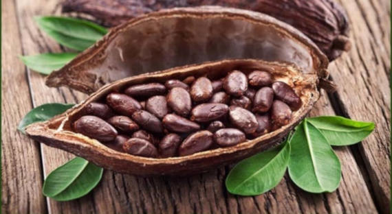 Ученые: какао и шоколад содержат много витамина D2