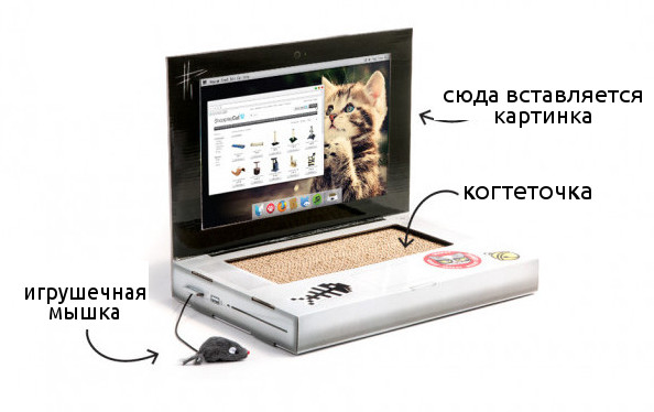 Британцы создали ноутбук для кошек