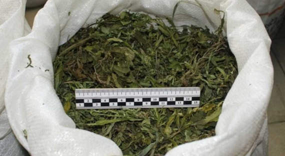 У жителя Дзержинского нашли четыре килограмма марихуаны