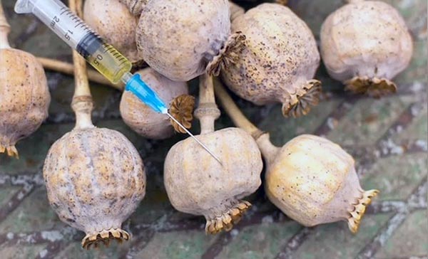 Организатор опиумного притона пойдёт под суд