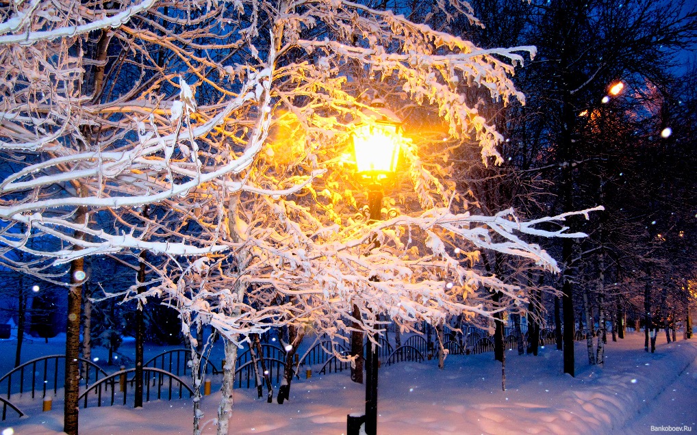 Погода в Хакасии 13 декабря: морозы должны отступить