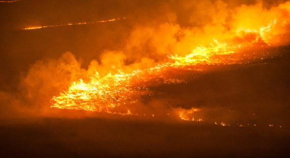 Поджигатели травы в Хакасии продолжают уничтожать республику