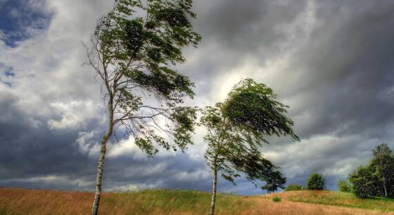 Погода в Хакасии 4 июня: Ветреный день