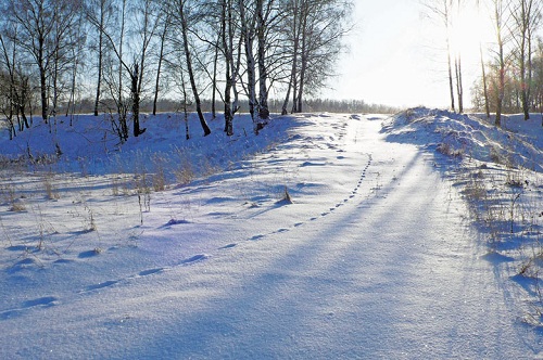 Хакасию засыпало снегом