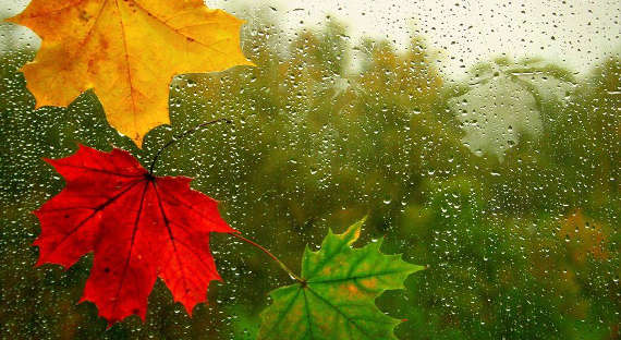 Погода в Хакасии 18 октября: Осень возвращается