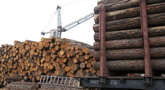 Из Хакасии и юга Красноярского края стали больше вывозить лесоматериалов