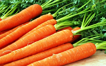 В Хакасии уничтожена партия зараженных семян моркови