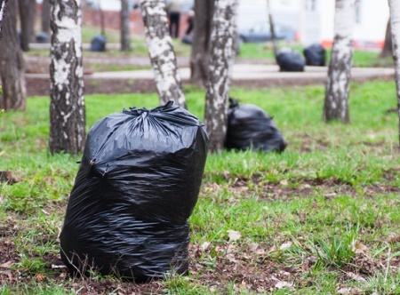 Хакасия присоединится к экологической акции «Мы чистим мир!»