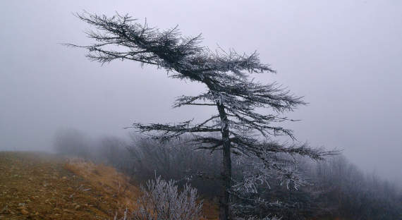Погода в Хакасии 18 ноября: Ветер усиливается