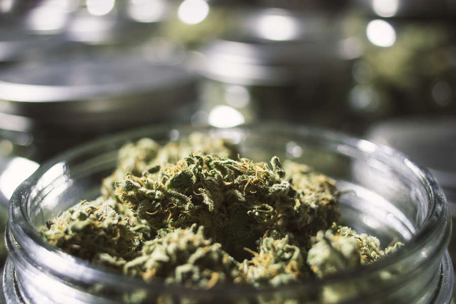 В бане жителя Хакасии нашлось почти семь килограммов марихуаны