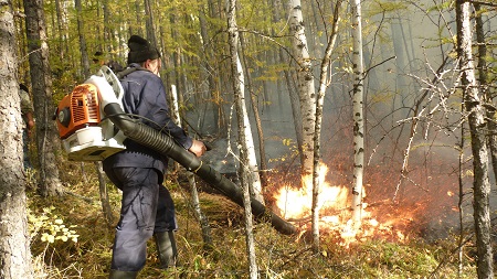 На выходных в Хакасии потушили лесной пожар