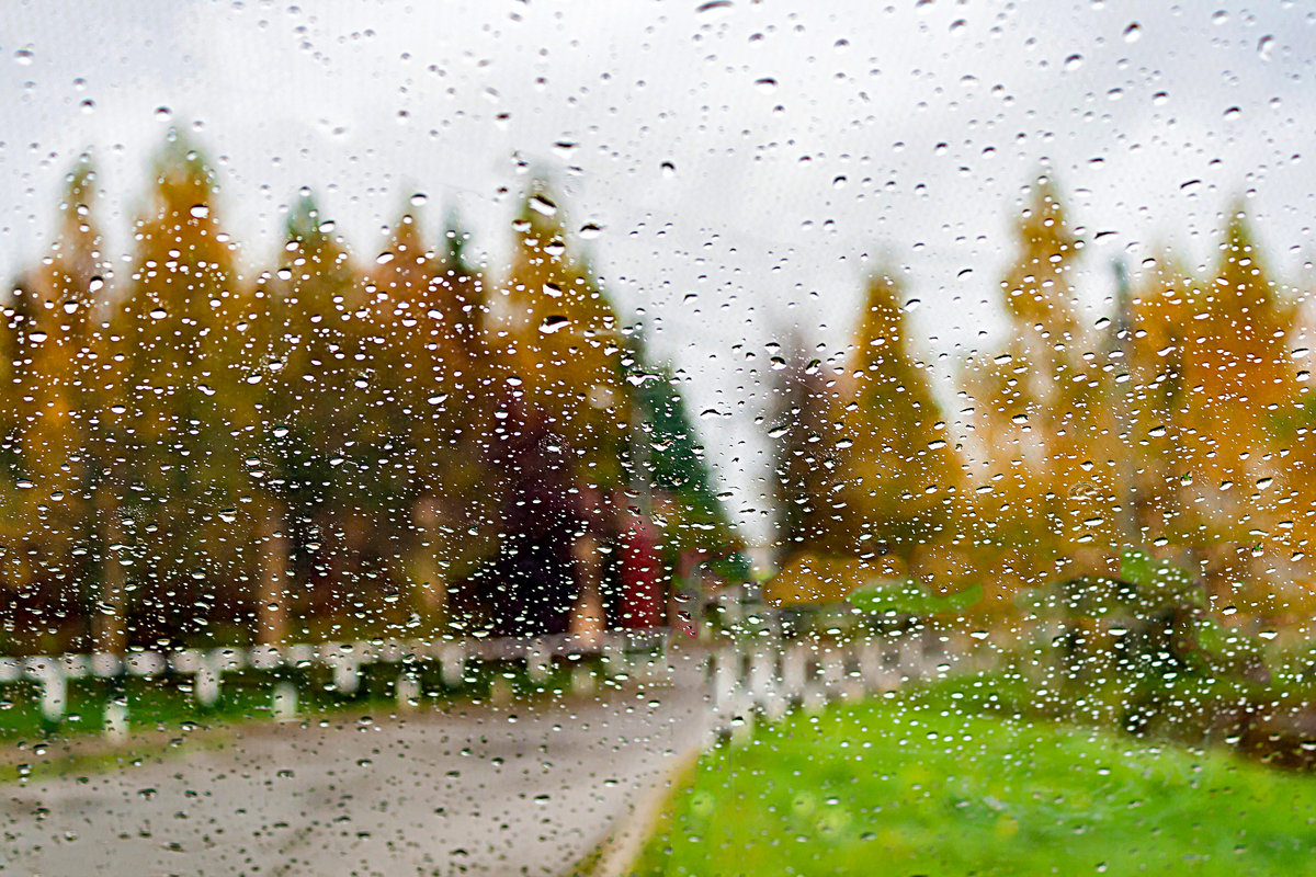 Погода в Хакасии 12 сентября: дожди будут всякие!