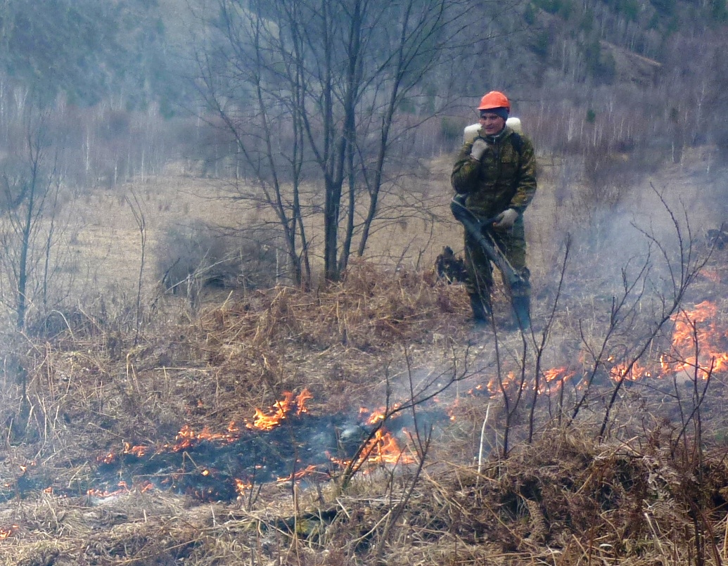 В Хакасии огонь с полей пришел в лес