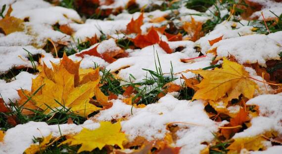 Погода в Хакасии 31 октября: Снегопад