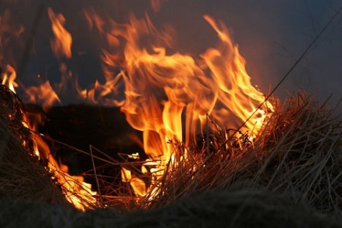 Хакасия полыхает огнем: горит сено. Тува тоже не отстает в этом горе…